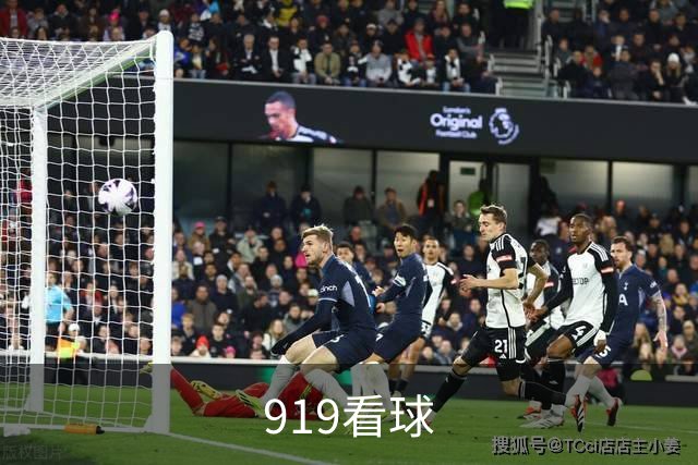 919看球公司简介图片